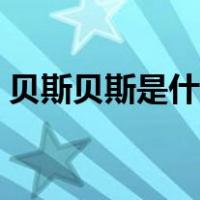 贝斯贝斯是什么歌（贝斯贝斯贝斯是什么歌）