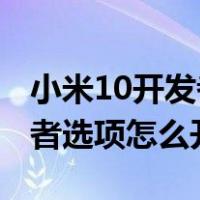小米10开发者选项怎么设置5g（小米10开发者选项怎么开启）