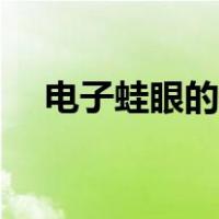电子蛙眼的研究过程（电子蛙眼的作用）