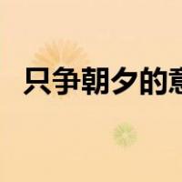 只争朝夕的意思是什么（只争朝夕的意思）
