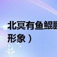 北冥有鱼鲲鹏展翅南海的场面（北冥有鱼鲲鹏形象）