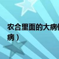 农合里面的大病保险都包括什么（新农合大病保险包括哪些病）