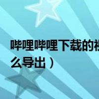 哔哩哔哩下载的视频怎么导出mp3（哔哩哔哩下载的视频怎么导出）