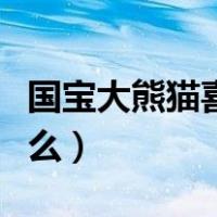 国宝大熊猫喜欢的食物（国宝大熊猫喜欢吃什么）