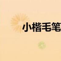 小楷毛笔及宣纸（小楷毛笔哪种好）