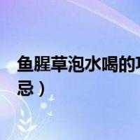 鱼腥草泡水喝的功效能治痛风吗（鱼腥草泡水喝的功效与禁忌）