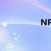 NPC常务委员会秘书长