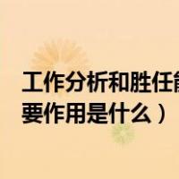 工作分析和胜任能力的分析（什么是工作分析工作分析的重要作用是什么）