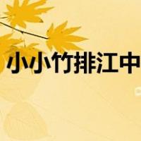 小小竹排江中游歌词（小小竹排江中游歌词）