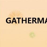GATHERMATE2（gathermate2数据库）