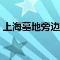 上海墓地旁边的房子能买吗（上海墓地排名）