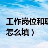 工作岗位和职务怎么填模板（工作岗位和职务怎么填）