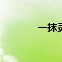 一抹灵多少钱一盒（一抹灵）