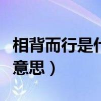 相背而行是什么类型的词语（相背而行是什么意思）