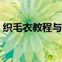 织毛衣教程与图解视频（织毛衣教程与图解）
