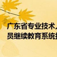 广东省专业技术人员继续教育系统登录（广东省专业技术人员继续教育系统打不开）