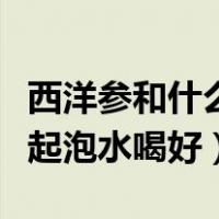 西洋参和什么一起泡水喝好（西洋参和什么一起泡水喝好）