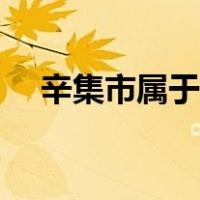 辛集市属于石家庄（辛集市属于哪个市）