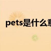 pets是什么意思怎么读（pets是什么意思）