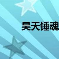 昊天锤魂技搭配技巧（昊天锤魂技）