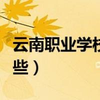 云南职业学校有哪些公办（云南职业学校有哪些）