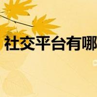 社交平台有哪些用于销售（社交平台有哪些）
