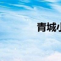 青城小说完整版（青城小说）