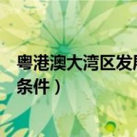 粤港澳大湾区发展的基础性要素（粤港澳大湾区发展的基础条件）