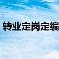转业定岗定编规定（转业士官安置定岗定编）