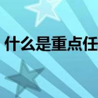 什么是重点任务和主体工程（什么是重接炮）