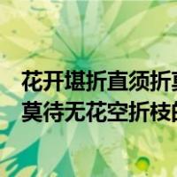花开堪折直须折莫待无花空折枝是谁写的（花开堪折直须折莫待无花空折枝的意思）