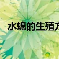 水螅的生殖方式有哪些（水螅的生殖方式）