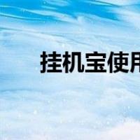 挂机宝使用教程（挂机宝的使用方法）