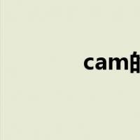 cam的全称（cam的含义是）