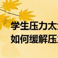 学生压力太大怎么缓解（学生压力大怎么办 如何缓解压力）