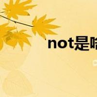 not是啥意思（not是什么意思）