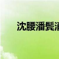沈腰潘鬓消磨全诗的意思（沈腰潘鬓）