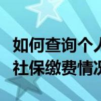 如何查询个人社保缴费情况表（如何查询个人社保缴费情况）