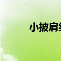 小披肩织法（x平均值符号复制）