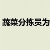 蔬菜分拣员为什么天天招人（蔬菜分类标准）