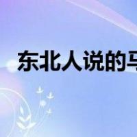 东北人说的马家是什么（东北马家是什么）