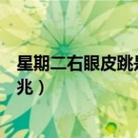 星期二右眼皮跳是什么预兆女人（星期二右眼皮跳是什么预兆）