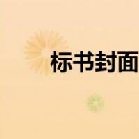 标书封面用什么纸（标书封面格式）