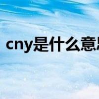 cny是什么意思中文翻译（CNY是什么意思）