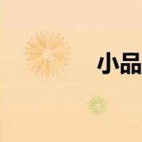 小品文字版（小品文范文）