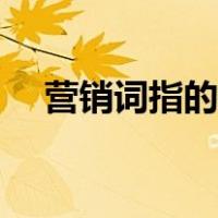 营销词指的是什么（营销词指的是什么）