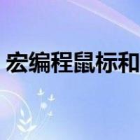 宏编程鼠标和机械鼠标有什么区别（宏编程）