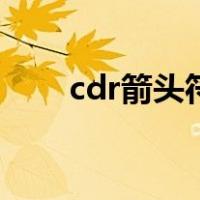 cdr箭头符号（cdr箭头符号在哪里）