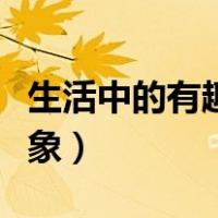 生活中的有趣物理现象（生活中有趣的物理现象）