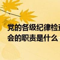 党的各级纪律检查委员会的职责是（党的各级纪律检查委员会的职责是什么）